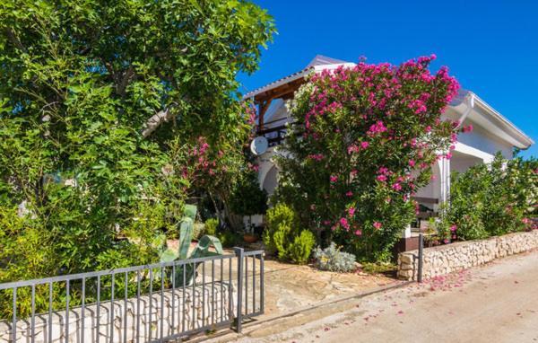 Apartment "Marija" - Otok ヴィル エクステリア 写真