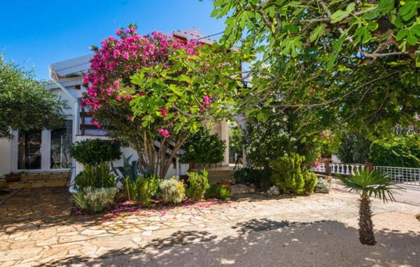 Apartment "Marija" - Otok ヴィル エクステリア 写真