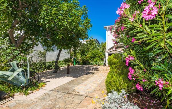 Apartment "Marija" - Otok ヴィル エクステリア 写真